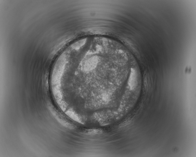X0000110890398200907161530