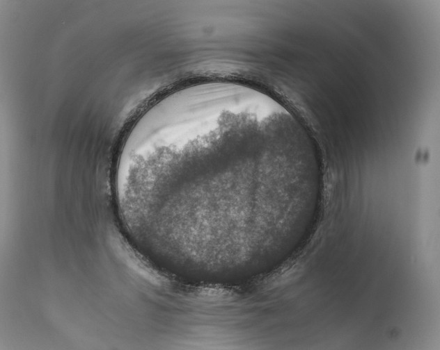 X0000110890399200907161530