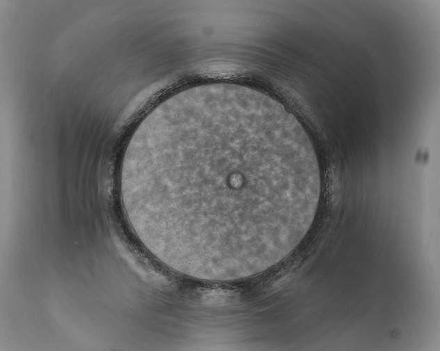 X0000110890400200907161530