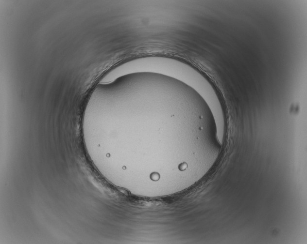 X0000110890401200907161530
