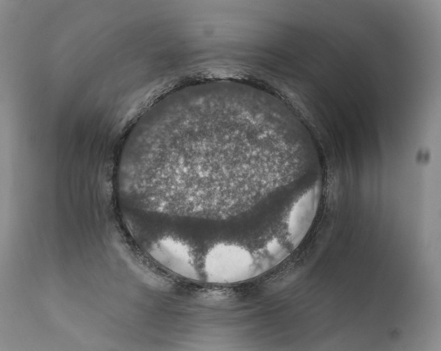 X0000110890402200907161530