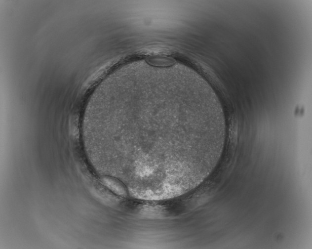 X0000110890403200907161530