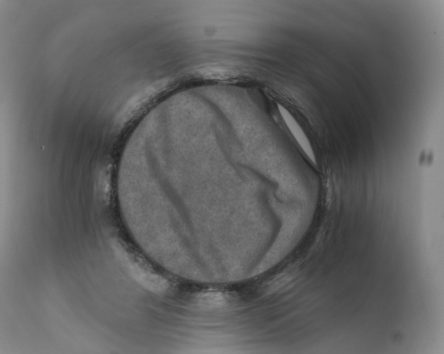 X0000110890404200907161530