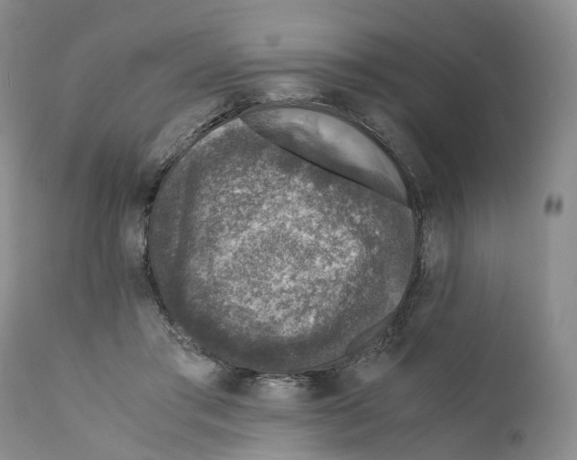 X0000110890405200907161530