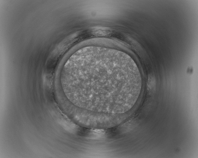 X0000110890409200907161530