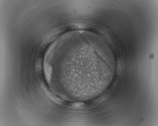 X0000110890410200907161530