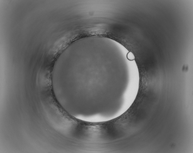 X0000110890411200907161530