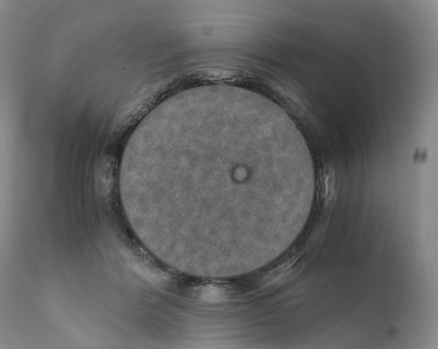 X0000110890412200907161530