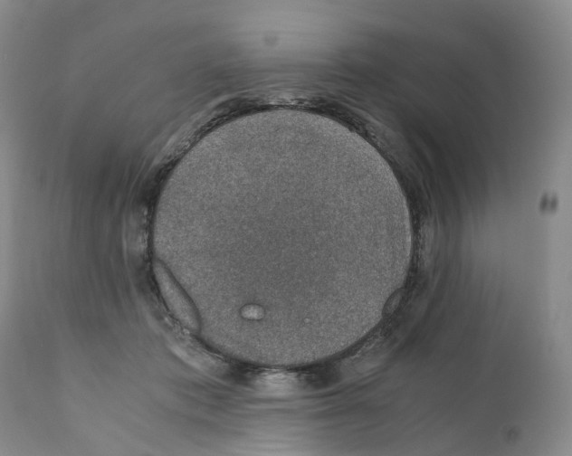 X0000110890413200907161530