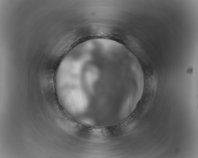 X0000110890415200907161530