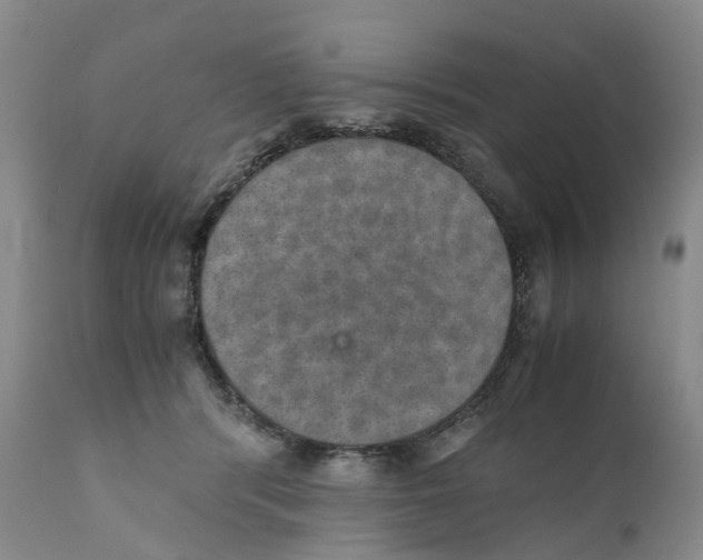 X0000110890416200907161530