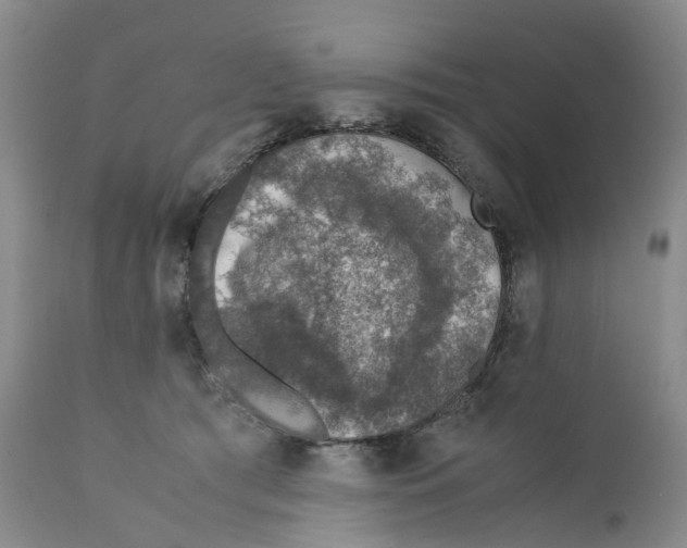X0000110890417200907161530