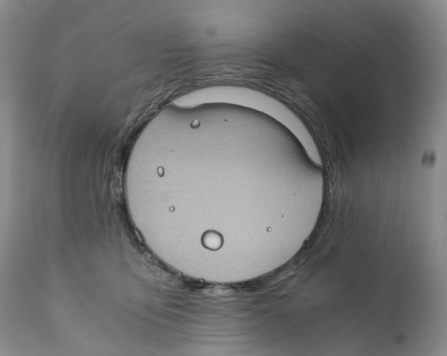 X0000110890419200907161530