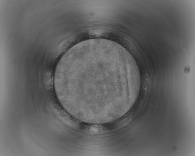 X0000110890420200907161530