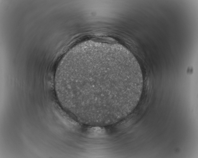 X0000110890421200907161530