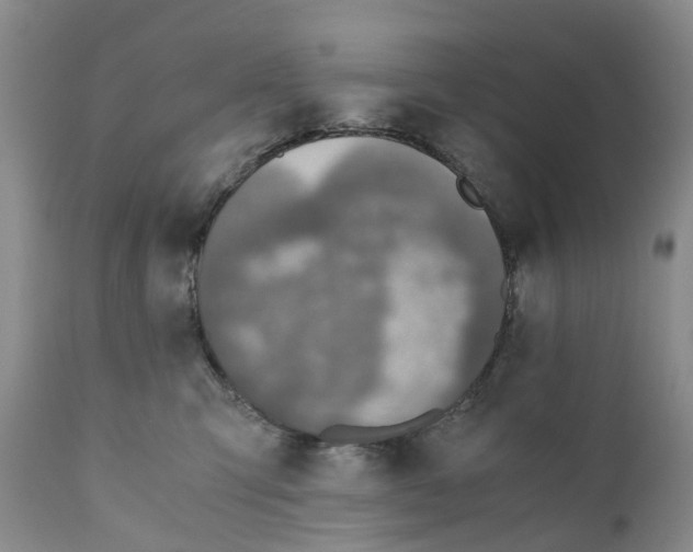 X0000110890423200907161530