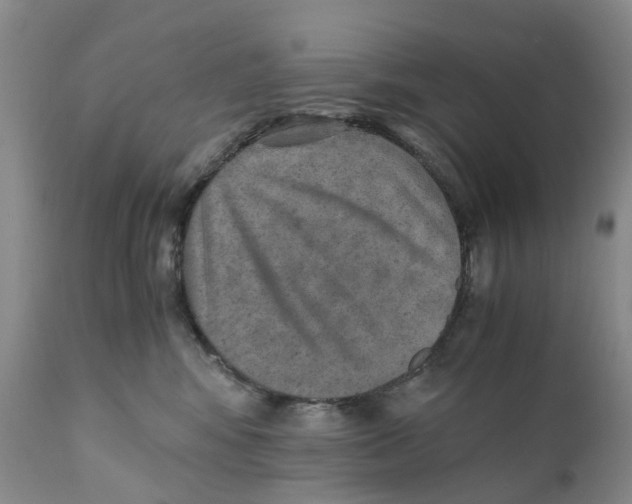 X0000110890424200907161530