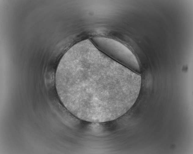 X0000110890425200907161530