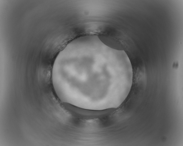 X0000110890427200907161530