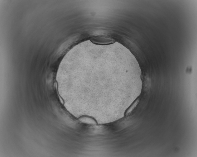 X0000110890428200907161530
