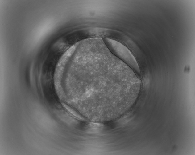 X0000110890429200907161530