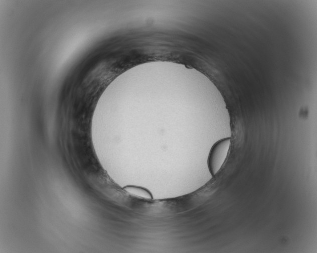 X0000110890430200907161530