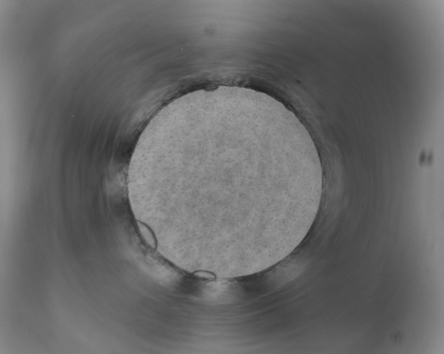 X0000110890432200907161530