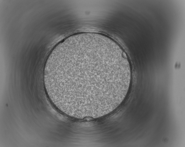 X0000110890433200907161529