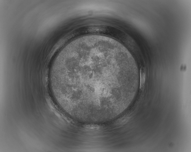 X0000110890435200907161529