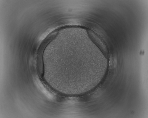 X0000110890436200907161529