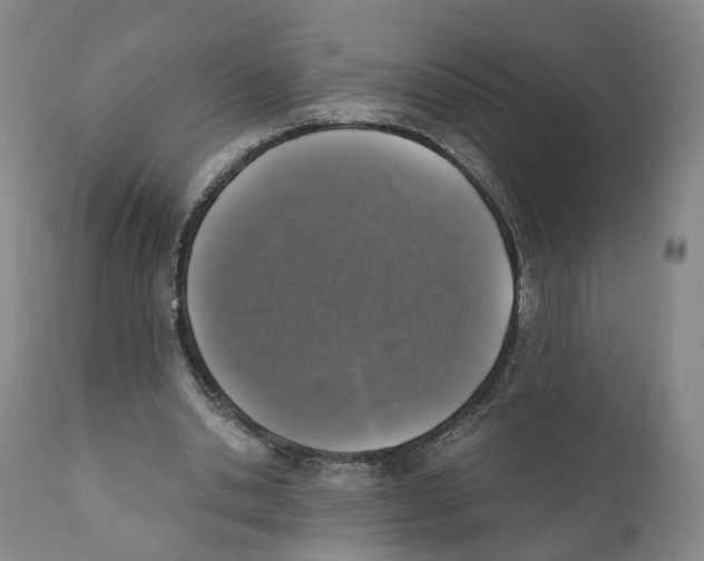 X0000110890438200907161529