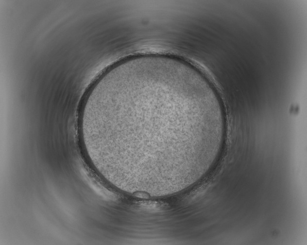 X0000110890439200907161529