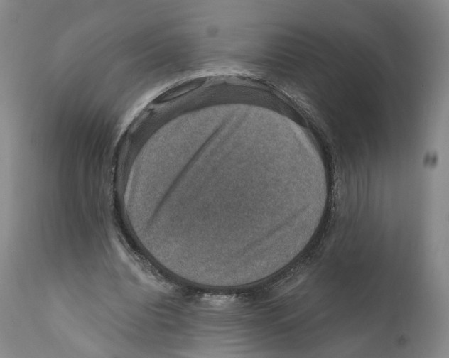 X0000110890440200907161529
