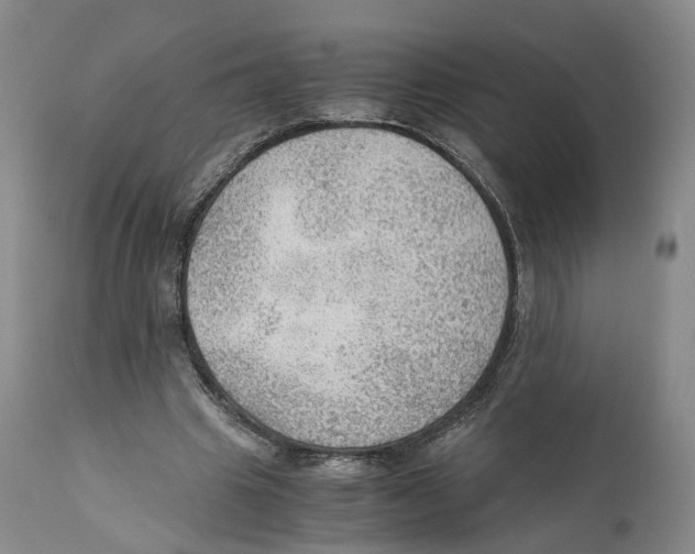 X0000110890441200907161529