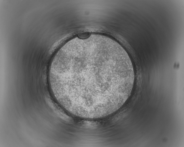 X0000110890442200907161529