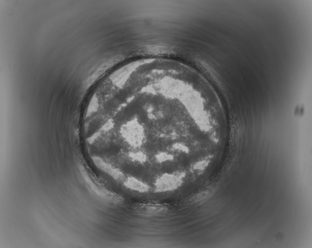 X0000110890443200907161529