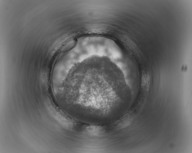 X0000110890444200907161529