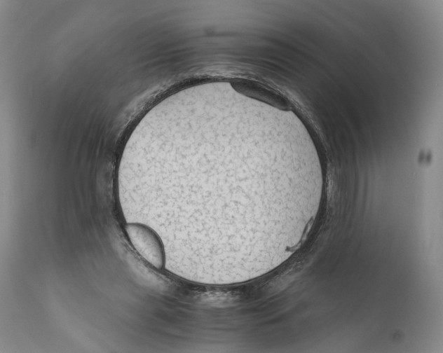 X0000110890445200907161529
