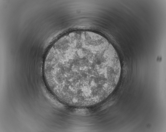 X0000110890446200907161530