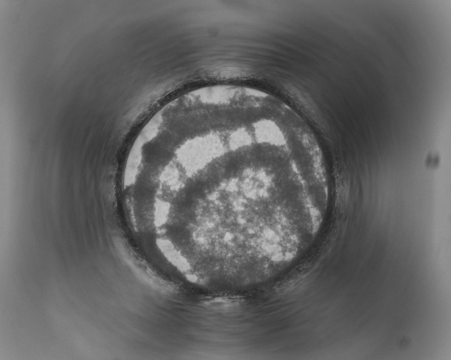 X0000110890447200907161530