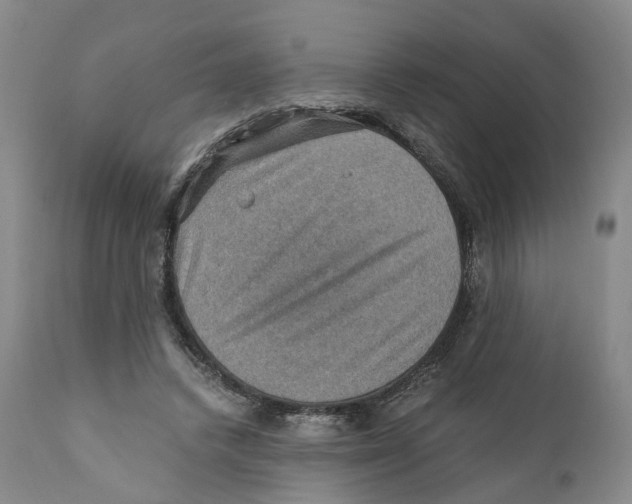 X0000110890448200907161530