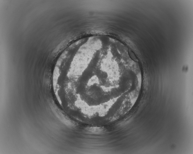 X0000110890449200907161530