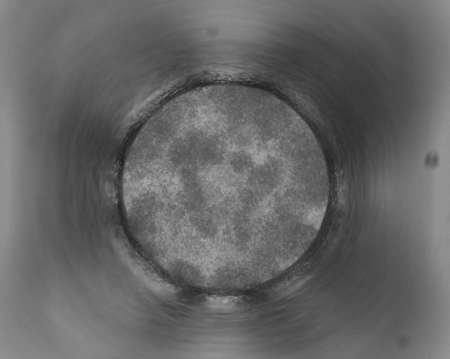 X0000110890450200907161530