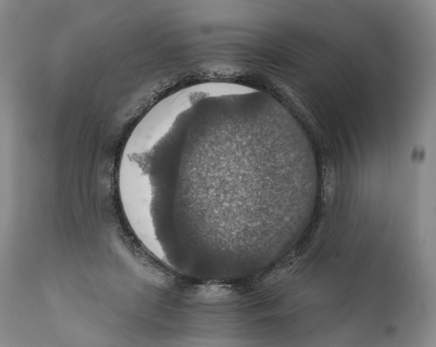 X0000110890451200907161530