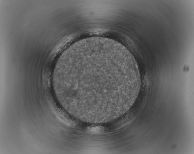 X0000110890452200907161530