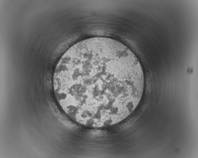 X0000110890453200907161530