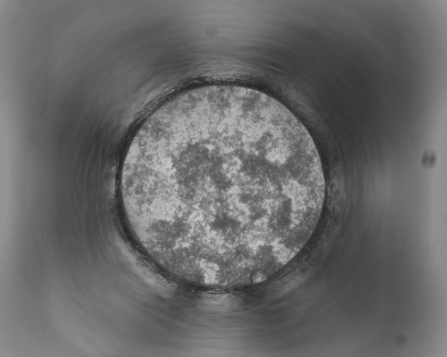 X0000110890454200907161530