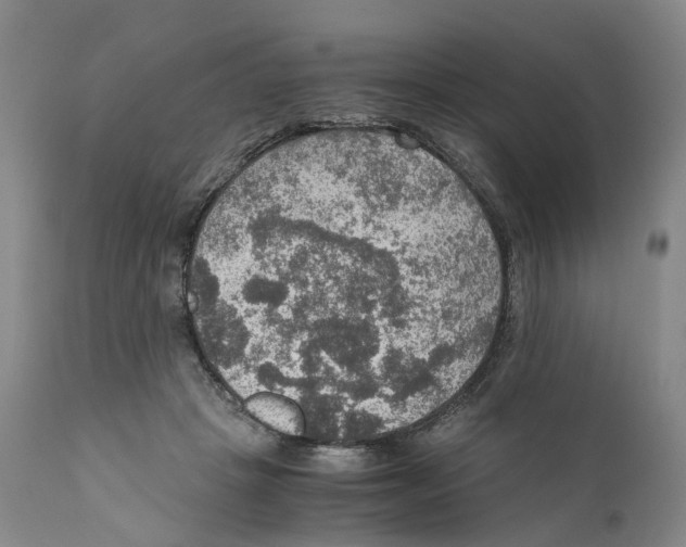 X0000110890457200907161530