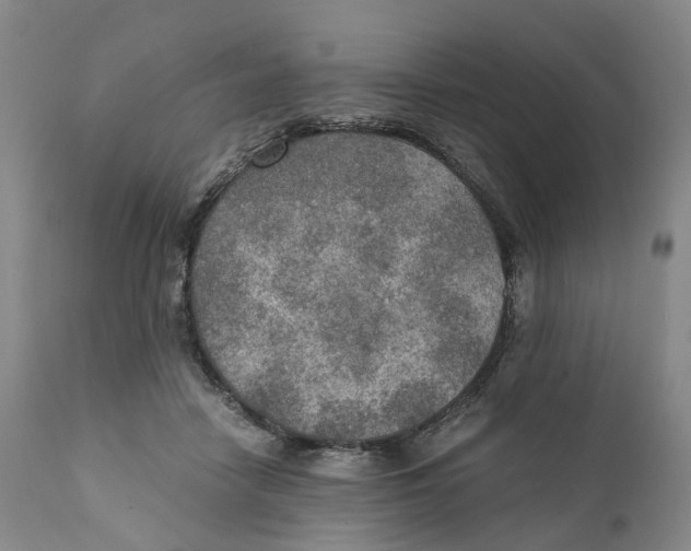 X0000110890458200907161530