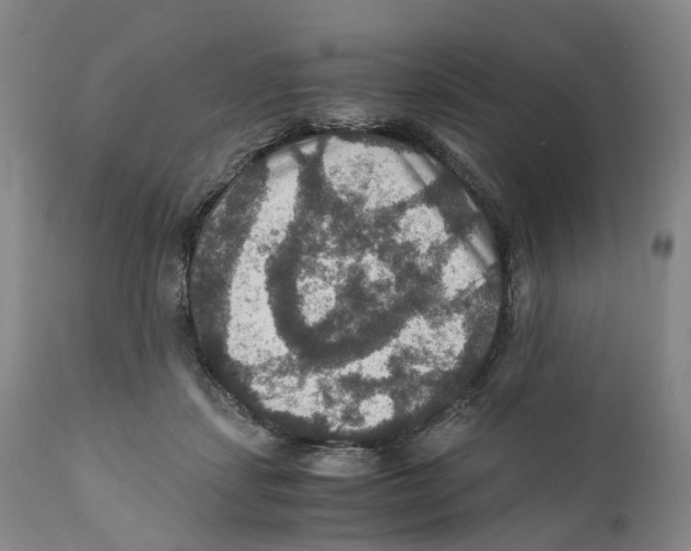 X0000110890459200907161530